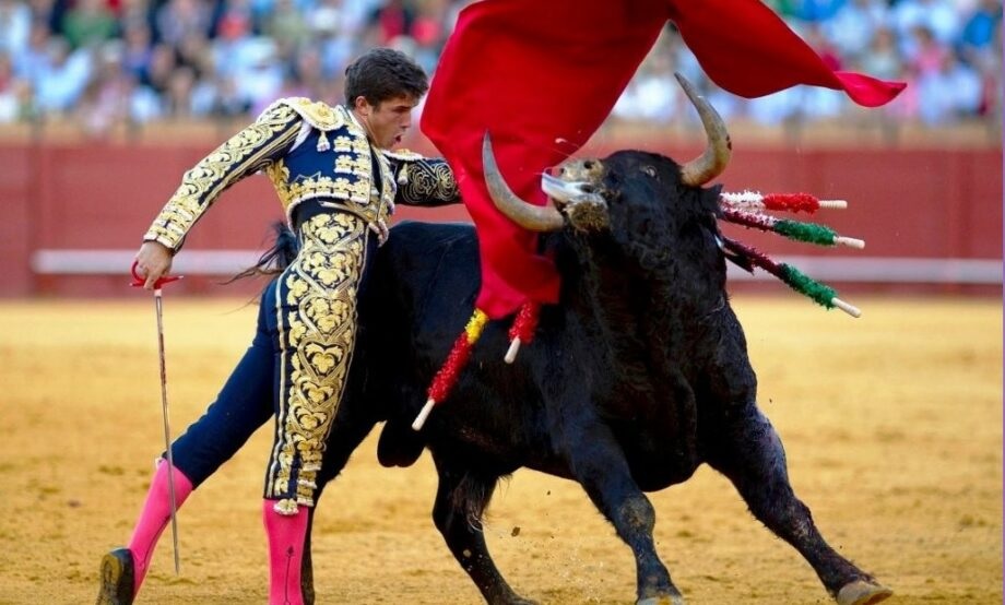 ¡Histórico! Colombia prohíbe las corridas de toros