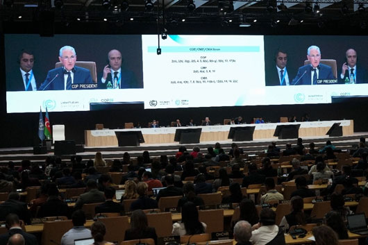 Acuerdan en COP29 movilizar comercio de créditos de carbono