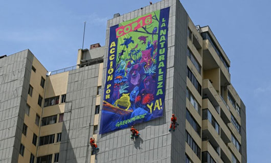 Internacional COP 16: estos son los temas que se debaten en Colombia