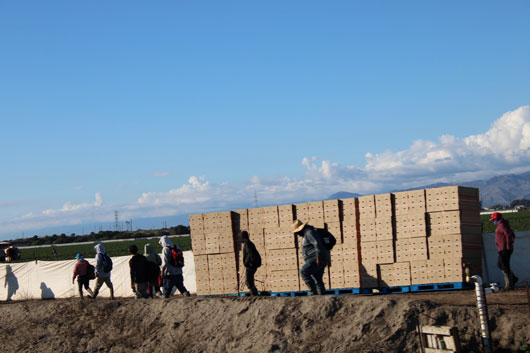 Migrantes tlaxcaltecas pueden afiliarse al IMSS y gozar de servicios de salud y seguridad social