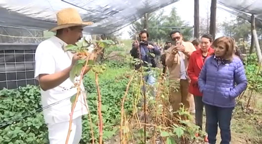 Visitó gobernadora Lorena Cuéllar vivero de “Sembrando Vida” en Españita 