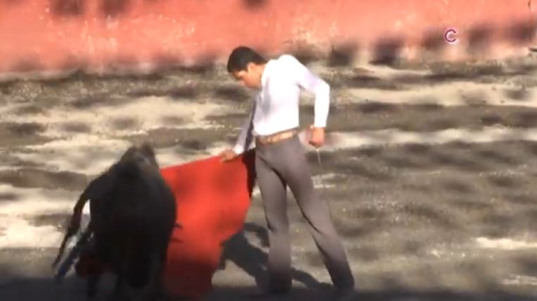 Demostraron su talento jóvenes novilleros en tentaderos públicos