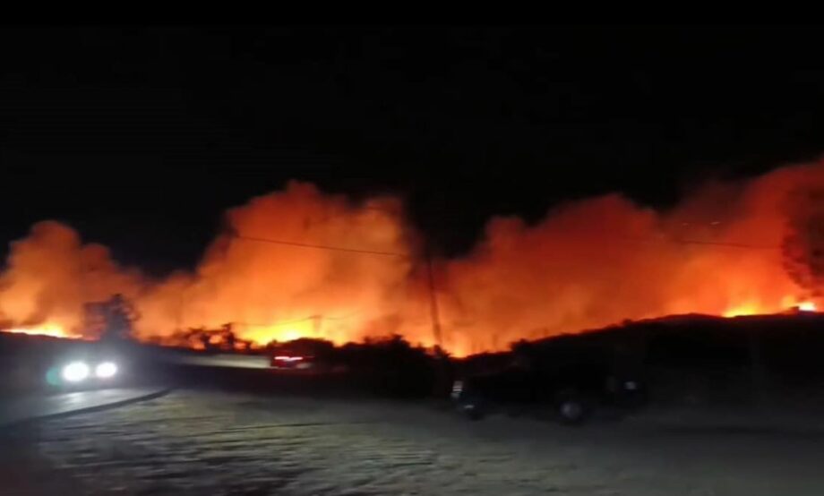 Incendios en Tecate y Tijuana consumen miles de hectáreas