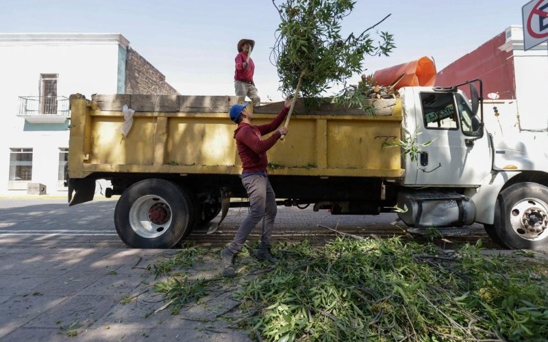 El Ayuntamiento de Tlaxcala responde a la ciudadanía: Inicia labores de poda y mantenimiento en el Boulevard Revolución