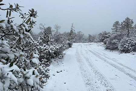 Cancelan clases presenciales por tormenta invernal en Chihuahua