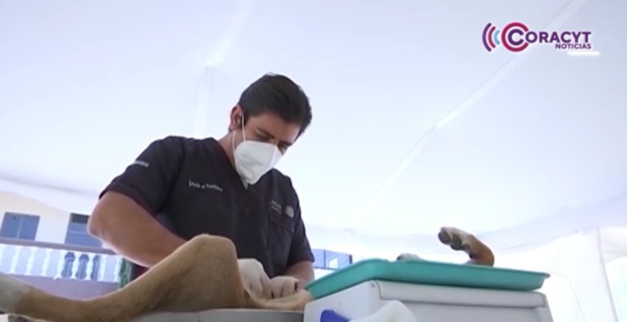 Brindará “Clínica de Bienestar Animal” atención de calidad
