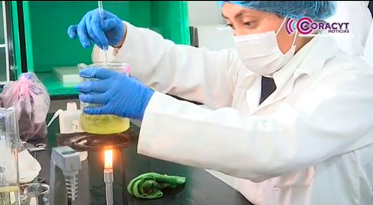 Crearon estudiantes del Cecyte Plantel 07 proyectos innovadores y sustentables