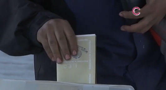 Iniciativa privada y las ONG podrán participar en la promoción del voto 