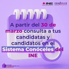 INE pondrá a disposición de la ciudadanía sistema Conóceles para la elección del Poder Judicial de la Federación