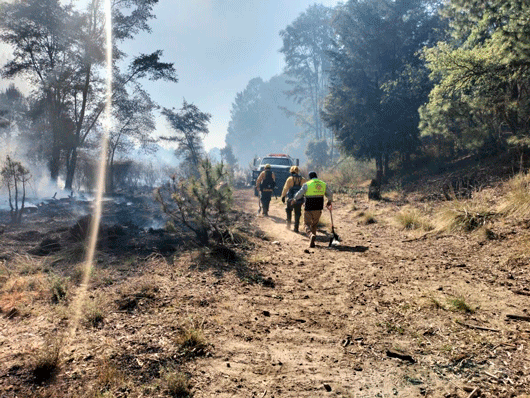  CEPC emite recomendaciones para prevenir incendios forestales