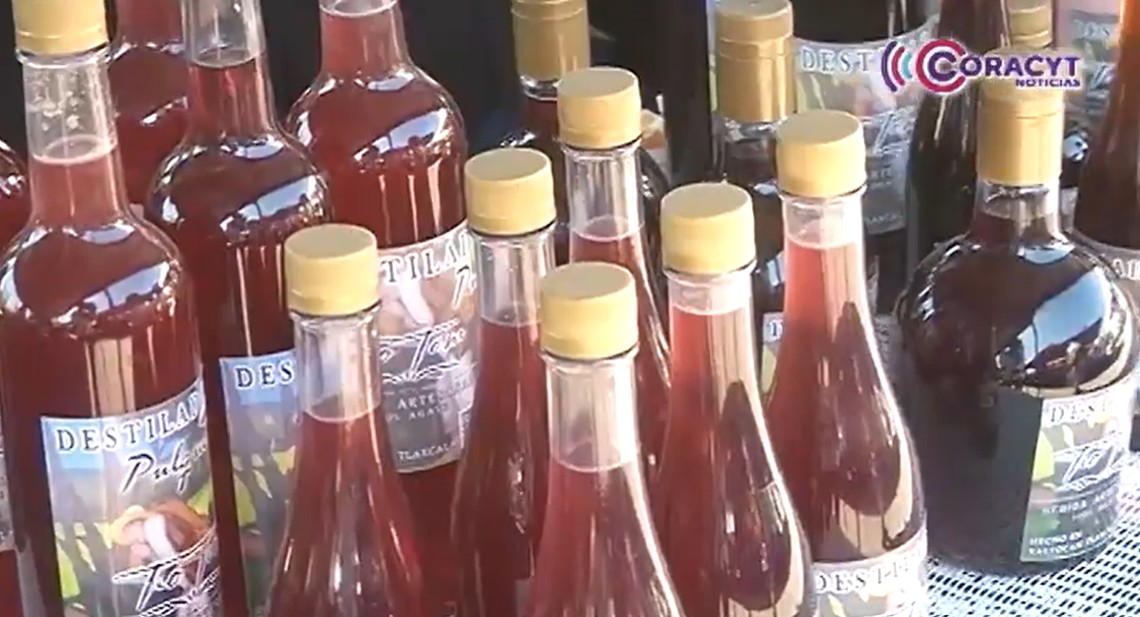 José Tomás Cortés elabora destilados artesanales de pulque