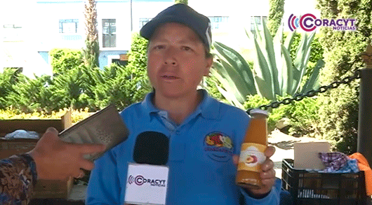 Huertos familiares, del autoconsumo al emprendimiento 