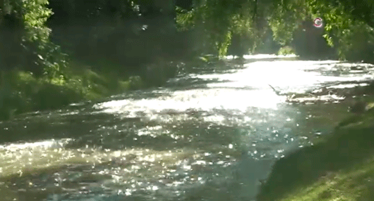 Se sumaron 14 talleres de mezclilla de Tepetitla al rescate del Río Zahuapan