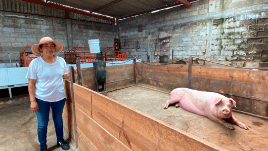 Fortalece Fomtlax al sector ganadero con créditos accesibles 