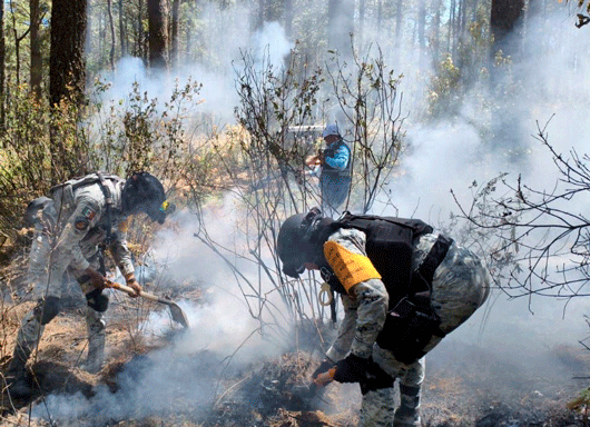 Gestiona Gobierno de Tlaxcala apoyo de helicópteros para combatir incendio