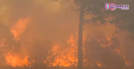 Incendios forestales generan mala calidad del aire en Tlaxcala 