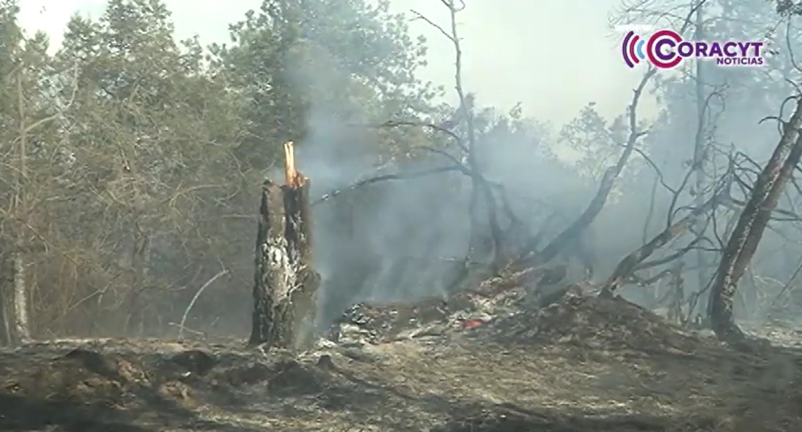 En Tlaxcala se han registrado 62 incendios forestales en lo que va de 2025