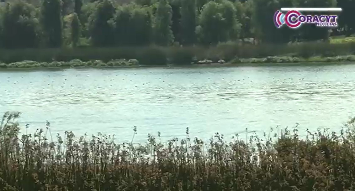 Implementarán Plan Integral de Rehabilitación en la laguna de Acuitlapilco