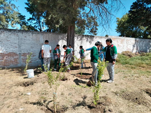 La Secretaría de Medio Ambiente de Tlaxcala arranca el programa “polinizando vida 2025”
