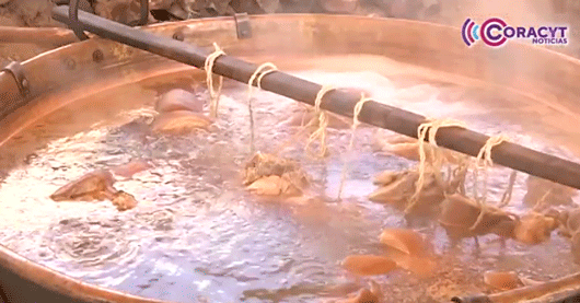 Mole prieto, receta ancestral que perdura en Chiautempan 