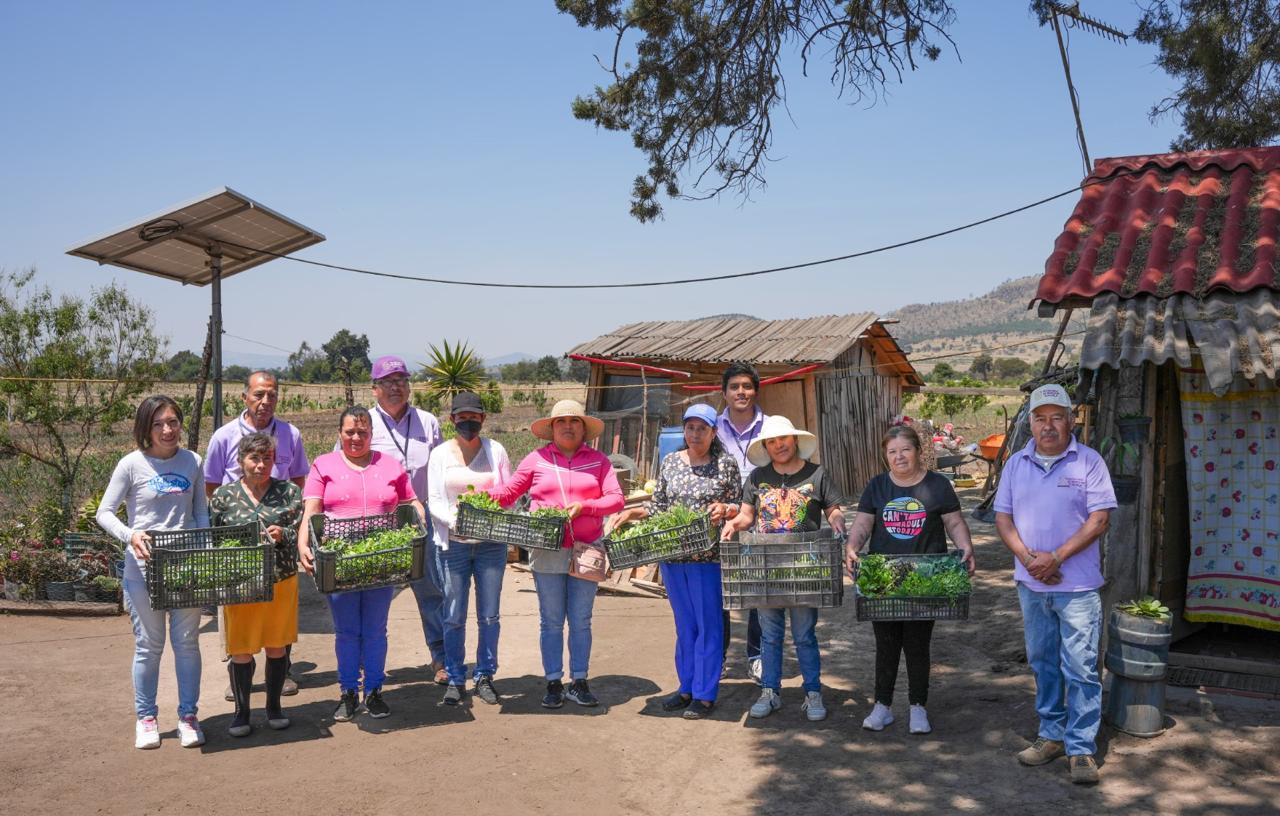 Entrega Secretaría de Bienestar plántulas a beneficiarios de módulos de autosuficiencia alimentaria