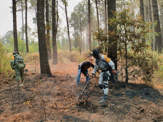 Tlaxcala reconoce colaboración con Puebla para la atención del incendio forestal en la zona de Libres-Atltzayanca