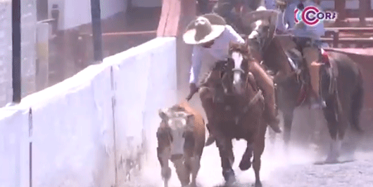 Se disputan 18 equipos en título del “Campeonato Estatal Charro Tlaxcala 2025”