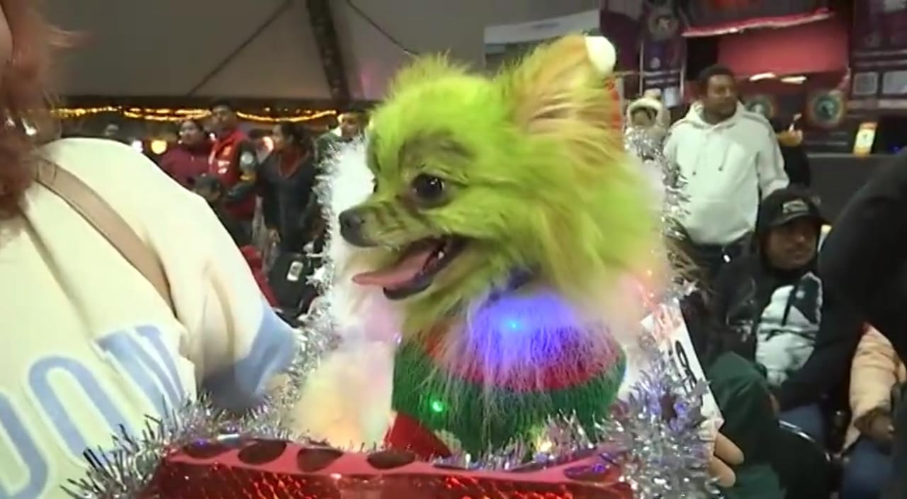 ¡Inscribe a tu animal de compañía en el concurso “Navidad con Huellitas”!