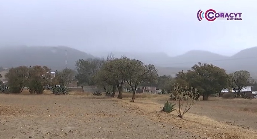 Piden prevenir defunciones por hipotermia y monóxido