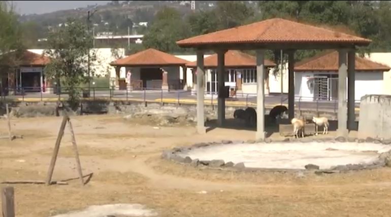 Tendrá el Zoológico del Altiplano una “Navidad Salvaje” 