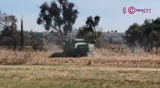 En el estado aún se conserva la práctica de las cabañuelas