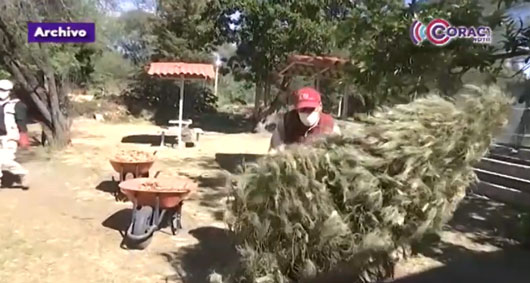 Aprovecha los últimos días de la campaña “Recicla tu árbol de Navidad”