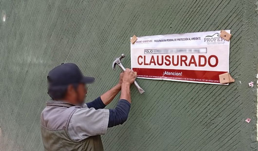  Profepa clausura construcción de terrenos forestales en ejido de Tlaxcala