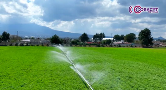 Ofrece Sader descuentos en tarifas eléctricas de bombeo de agua para riego agrícola 