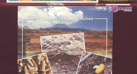 Asiste a la 8ª Feria de la Biodiversidad Indígena y el Maíz Eterno