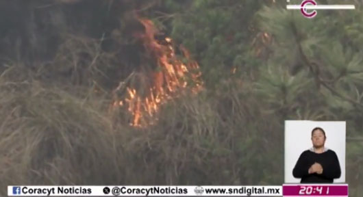 Tlaxcala registra baja incidencia de incendios forestales