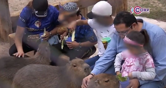 Familias disfrutaron del Zoológico del Altiplano en el primer fin de semana largo del año