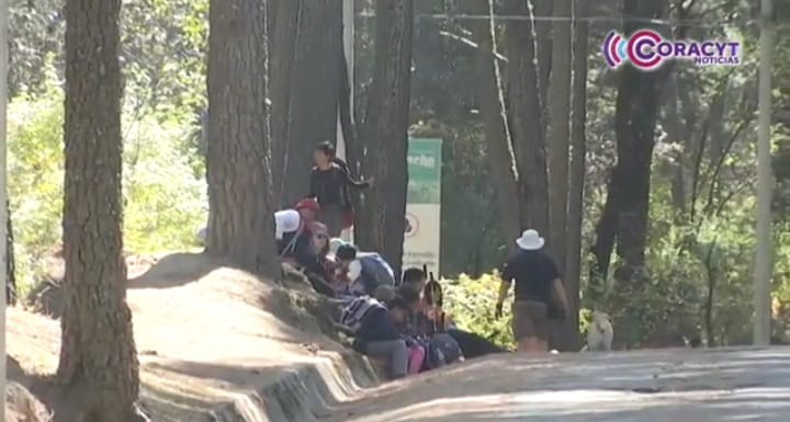 Organiza SMA actividades de verano en el Parque Nacional “La Malinche”