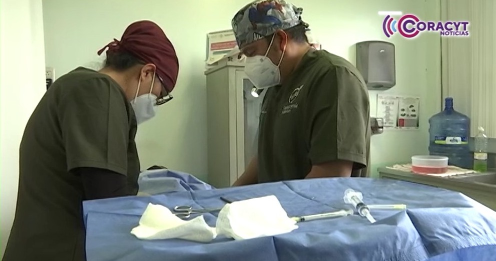 Habrá Jornada de Vasectomía sin Bisturí en el Hospital General del Issste Tlaxcala 