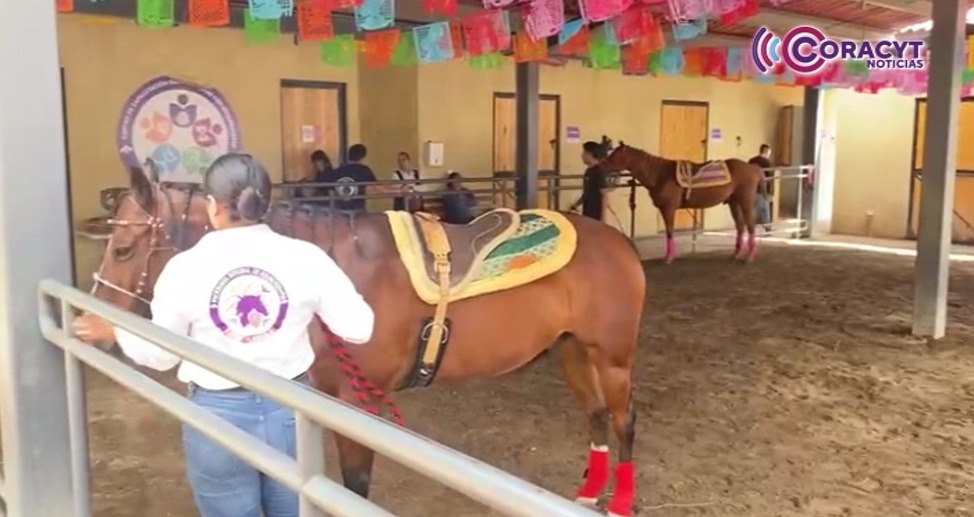 Equinoterapia, alternativa para apoyar a infantes con discapacidad