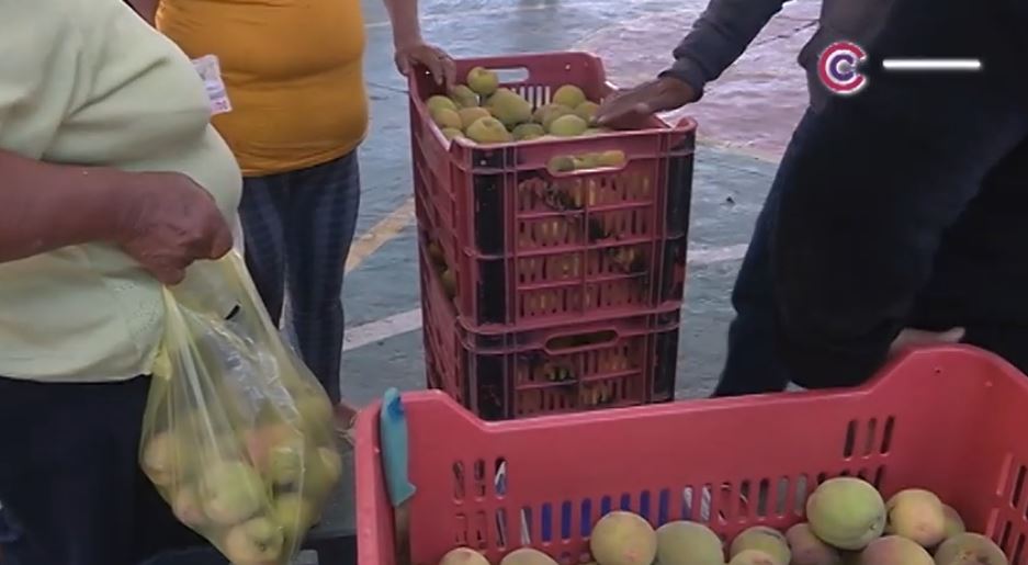 ¡Asiste a la “Feria del Durazno” de Atltzayanca!