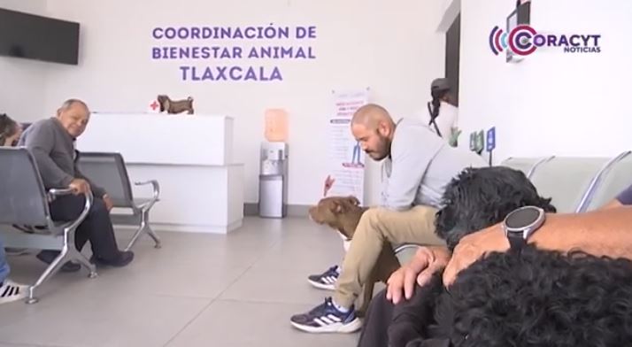 Ofrece Clínica de Bienestar Animal servicios integrales para animales de compañía 