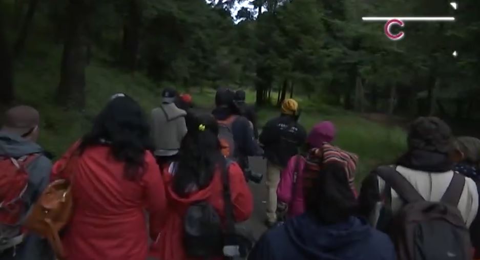 Prevén la visita de 110 mil turistas durante Temporada de Luciérnagas 2025