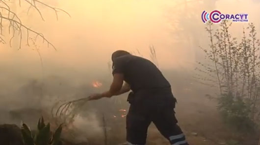 Conforman brigadas forestales en Emiliano Zapata para proteger sus bosques