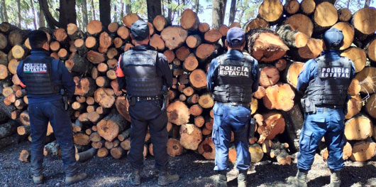 Nueva acción coordinada entre Tlaxcala y puebla arroja resultados positivos en materia de delitos ambientales