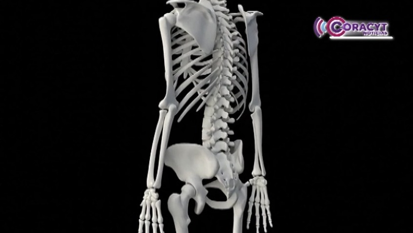 Sector Salud ha realizado 26 mil tamizajes gratuitos de osteoporosis