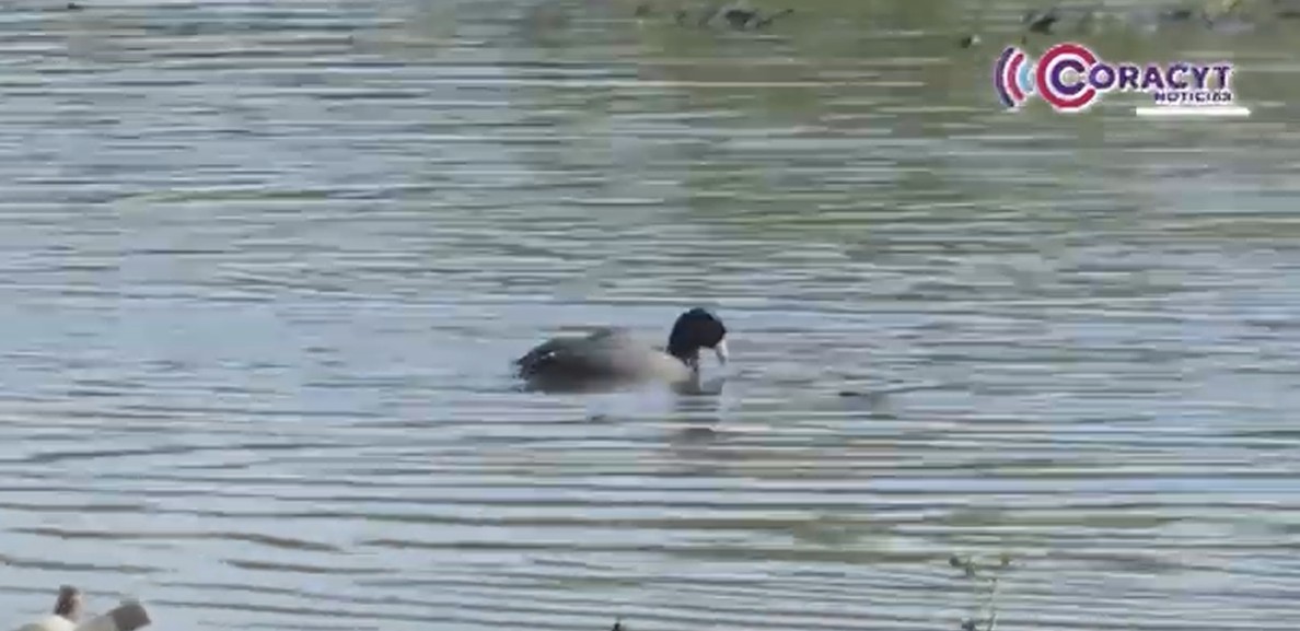 Dan prórroga a productores agrícolas para regularizar concesiones de agua