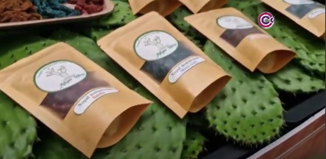 Participarán más de 500 productores tlaxcaltecas en el Día Nacional del Nopal