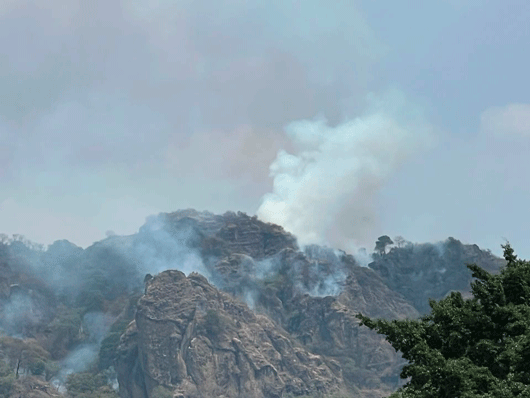 Incendio forestal consume parte del Parque Nacional El Tepozteco