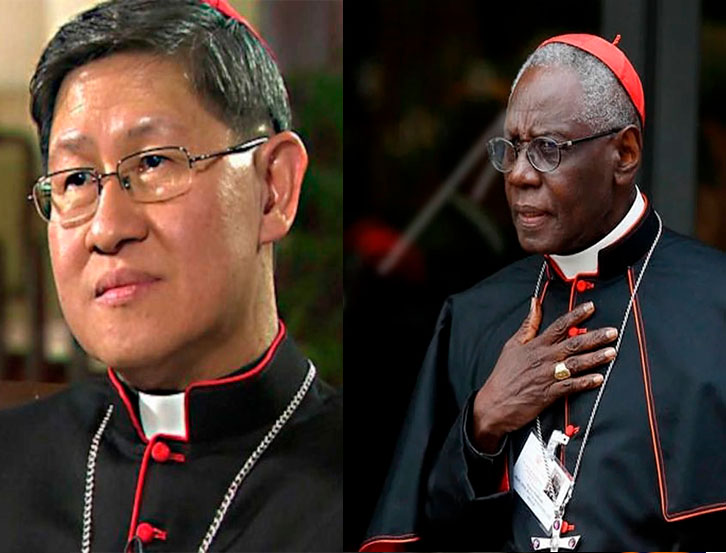 Son nueve los posibles sucesores del Papa Francisco 